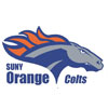 Orange County Community College
