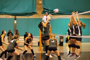 Rockland vs. Sullivan
